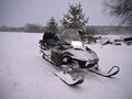 2003 Arctic Cat Pantera, коричневый, 630000 рублей - вид 3