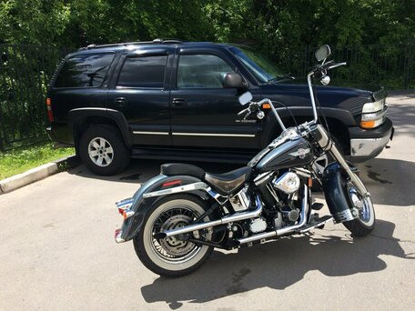 1995 Harley-Davidson Heritage, серый, 900000 рублей, вид 3