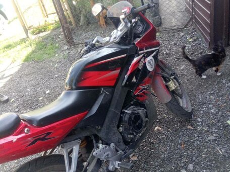 2013 Racer RC250CK-A Triumph, красный, 70000 рублей, вид 1