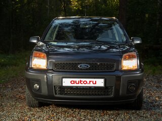 2006 Ford Fusion I Рестайлинг, серый, 550000 рублей, вид 5