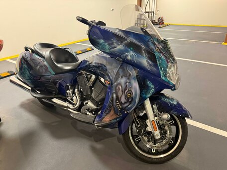 2009 Victory Vision Tour, синий, 1100000 рублей, вид 1