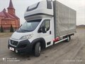 2019 Fiat Professional Ducato, белый, 2400000 рублей