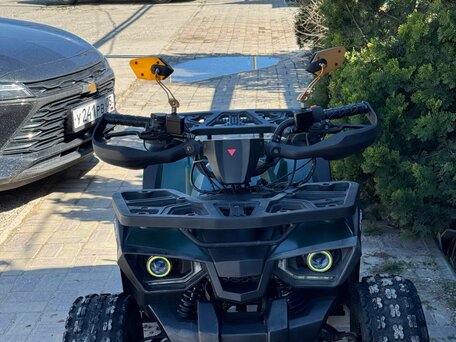 2021 Avantis Hunter 8, зелёный, 60000 рублей, вид 1