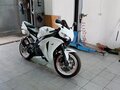 1998 Honda CBR 919RR Fireblade, белый, 395000 рублей - вид 1