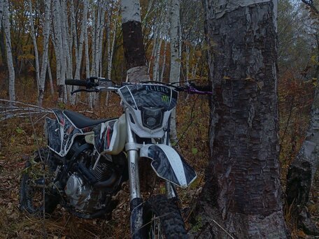 2024 Kayo K1-L 150 MX, чёрный, 110000 рублей, вид 3