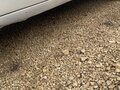 1997 Lada (ВАЗ) 2107, белый, 140000 рублей - вид 10