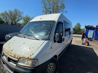 2011 Fiat Professional Ducato, белый, 830000 рублей, вид 1