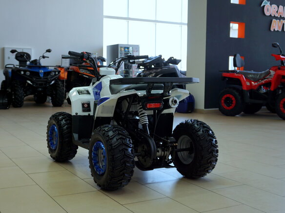2021 Motoland ATV 110 Eagle, белый - вид 2