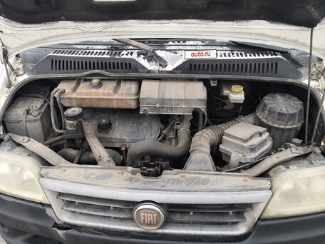 2010 Fiat Professional Ducato, белый, 500000 рублей, вид 2