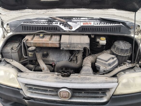 2010 Fiat Professional Ducato, белый, 500000 рублей - вид 1