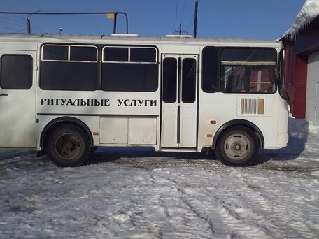 2011 ПАЗ 3205, белый, 650000 рублей, вид 2