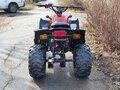 2015 Stels ATV-50, красный, 55000 рублей - вид 3