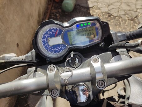 2023 Regulmoto T-Leopard 300, серый, 200000 рублей, вид 3