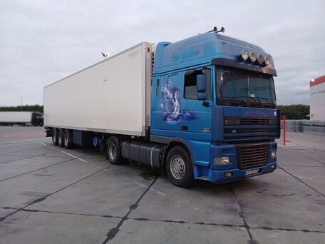 2002 DAF 95XF, синий, 2870000 рублей, вид 2