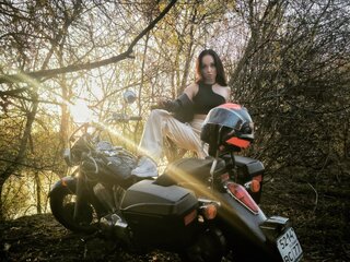 2004 Honda VT 750, чёрный, 449000 рублей, вид 1