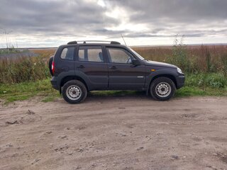 2010 Chevrolet Niva I Рестайлинг, коричневый, 380000 рублей, вид 2