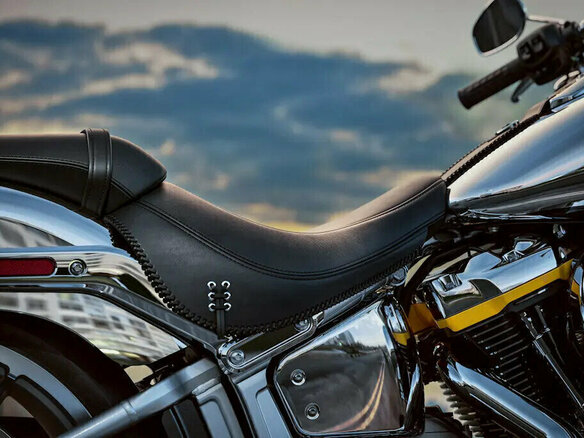 2025 Harley-Davidson Fat Boy, серебристый, 6000000 рублей - вид 25