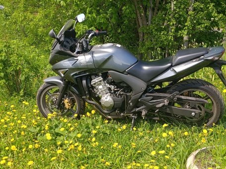 2008 Honda CBF 600, серебристый, 449990 рублей, вид 5