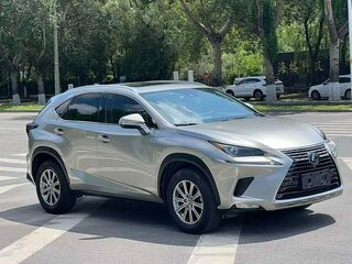 2018 Lexus NX 200 I Рестайлинг, серый, 2680002 рублей, вид 4