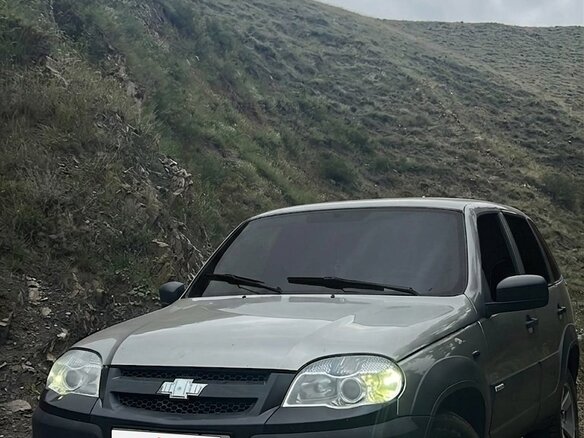 2013 Chevrolet Niva I Рестайлинг, коричневый, 550000 рублей - вид 2