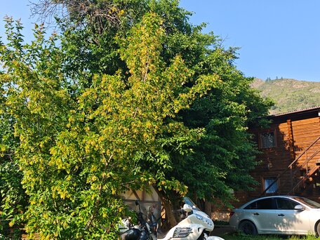 2010 Honda GL 1800 Gold Wing, белый, 1500000 рублей, вид 2