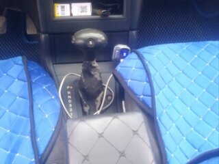 2003 Opel Astra G, серый, 365000 рублей, вид 5