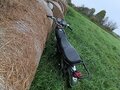 2018 Racer Alpha, чёрный, 29000 рублей - вид 1