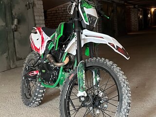 2024 Darex Alga 300, зелёный, 150000 рублей, вид 2