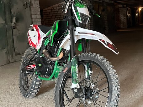 2024 Darex Alga 300, зелёный, 150000 рублей, вид 2