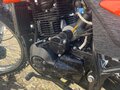 2024 Racer Panther, оранжевый - вид 1