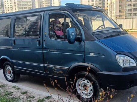 2004 ГАЗ Соболь (2217), зелёный, 300000 рублей, вид 1