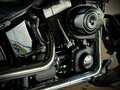 2014 Harley-Davidson Softail Slim, серый, 950000 рублей - вид 2