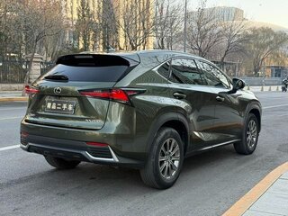 2021 Lexus NX 200 I Рестайлинг, зелёный, 3757000 рублей, вид 4
