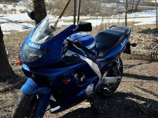 2002 Yamaha YZF600R Thundercat, синий, 320000 рублей, вид 3