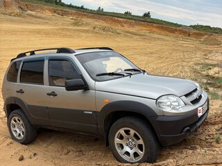 2010 Chevrolet Niva I Рестайлинг, серый, 335000 рублей, вид 1