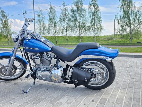 2005 Harley-Davidson Softail Standard, голубой, 837090 рублей - вид 12