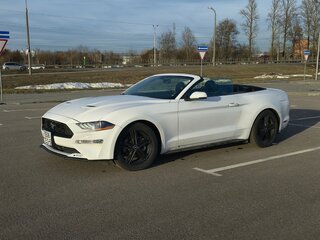 2019 Ford Mustang VI Рестайлинг, белый, 2195136 рублей, вид 2