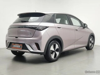 2022 BYD Dolphin 44.9 kWh I, бежевый, 951001 рублей, вид 3