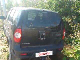 2013 Chevrolet Niva I Рестайлинг, коричневый, 450000 рублей, вид 2