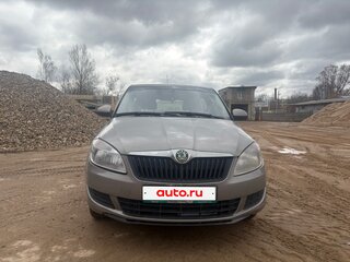 2010 Skoda Fabia II Рестайлинг, серебристый, 380000 рублей, вид 1