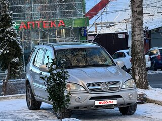 2001 Mercedes-Benz M-Класс AMG 55 AMG I (W163), серебристый, 850000 рублей, вид 1