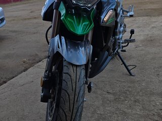2023 Regulmoto T-Leopard 300, зелёный, 250000 рублей, вид 3