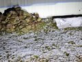 2010 ГАЗ ГАЗель (33023/330273) Фермер, серебристый, 1250000 рублей - вид 5