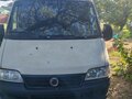 2011 Fiat Professional Ducato, белый, 750000 рублей