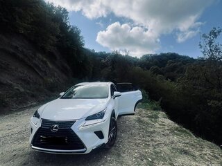 2021 Lexus NX 200 I Рестайлинг, белый, 4650000 рублей, вид 5