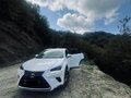 2021 Lexus NX 200 I Рестайлинг, белый, 4650000 рублей - вид 4