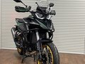 2026 QJMotor SRT 900 SX, зелёный, 949000 рублей - вид 4