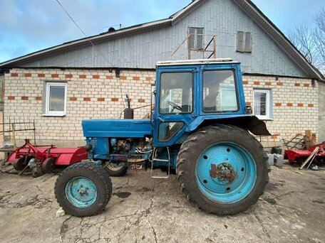 1983 МТЗ (BELARUS) 80, голубой, 500000 рублей, вид 1