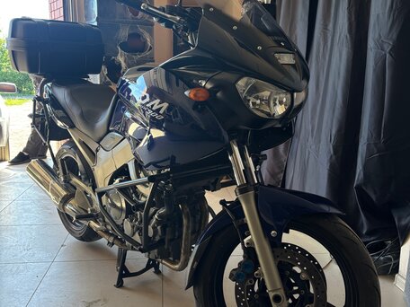 2004 Yamaha TDM900, синий, 495000 рублей, вид 2