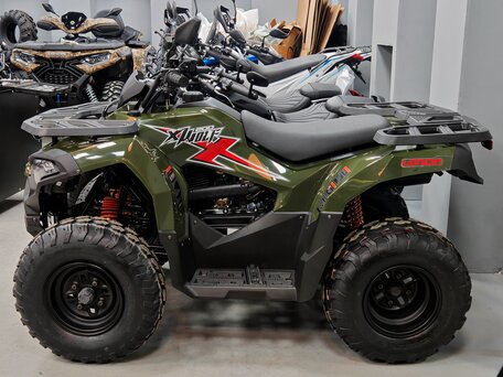 2024 Loncin XWolf 200, зелёный, 279000 рублей, вид 3